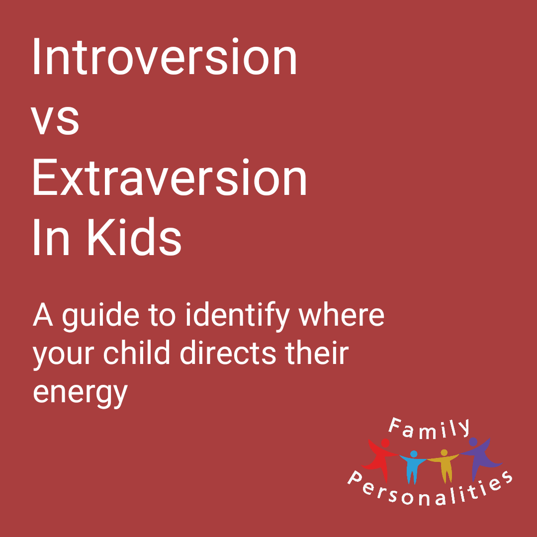 Introversion Extraversion Kids Guide Family Personalities